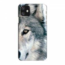Чехлы с картинками животных iPhone 11 Волк - купить на Floy.com.ua
