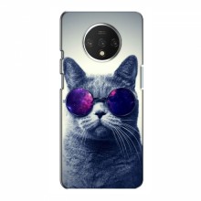 Чехол с принтом для OnePlus 7T - (на черном) (AlphaPrint) Кот в очках - купить на Floy.com.ua