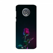 Чехол под заказ для Motorola Moto G6 (AlphaPrint - Уникальный дизайн) Ночная роза - купить на Floy.com.ua