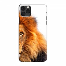 Чехлы с картинками животных iPhone 12 Pro Лев грива - купить на Floy.com.ua