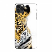 Чехлы с картинками животных iPhone 12 Pro Леопард - купить на Floy.com.ua