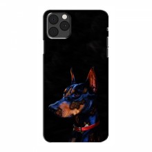 Чехлы с картинками животных iPhone 13 mini Собака - купить на Floy.com.ua