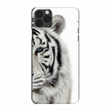 Чехлы с картинками животных iPhone 13 mini Белый Тигр - купить на Floy.com.ua