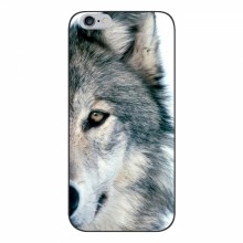 Чехлы с картинками животных iPhone 6 / 6s Волк - купить на Floy.com.ua