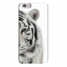 Чехлы с картинками животных iPhone 6 Plus / 6s Plus Белый Тигр - купить на Floy.com.ua