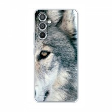 Чехлы с картинками животных Samsung Galaxy A05s (A-057F) Волк - купить на Floy.com.ua