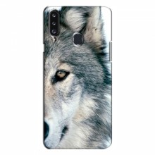 Чехлы с картинками животных Samsung Galaxy A20s (A207) Волк - купить на Floy.com.ua