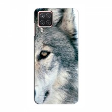 Чехлы с картинками животных Samsung Galaxy A22 Волк - купить на Floy.com.ua