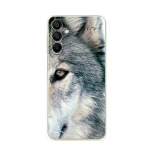Чехлы с картинками животных Samsung Galaxy A25 (A256) Волк - купить на Floy.com.ua