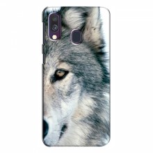 Чехлы с картинками животных Samsung Galaxy A40 2019 (A405F) Волк - купить на Floy.com.ua