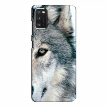 Чехлы с картинками животных Samsung Galaxy A41 (A415) Волк - купить на Floy.com.ua