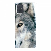 Чехлы с картинками животных Samsung Galaxy A71 (A715) Волк - купить на Floy.com.ua