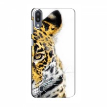 Чехлы с картинками животных Samsung Galaxy M10 Леопард - купить на Floy.com.ua