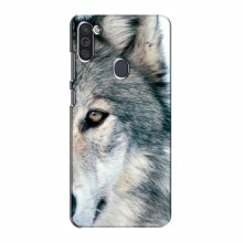 Чехлы с картинками животных Samsung Galaxy M11 Волк - купить на Floy.com.ua