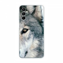 Чехлы с картинками животных Samsung Galaxy M23 (5G) Волк - купить на Floy.com.ua