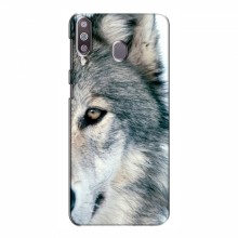 Чехлы с картинками животных Samsung Galaxy M30 Волк - купить на Floy.com.ua
