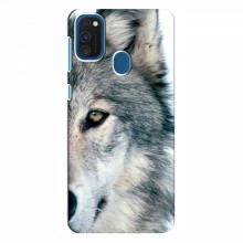 Чехлы с картинками животных Samsung Galaxy M31 Волк - купить на Floy.com.ua