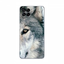 Чехлы с картинками животных Samsung Galaxy M33 (5G) (M336B) Волк - купить на Floy.com.ua