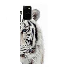 Чехлы с картинками животных Samsung Galaxy S20 Белый Тигр - купить на Floy.com.ua