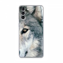 Чехлы с картинками животных Samsung Galaxy S21 Волк - купить на Floy.com.ua