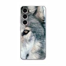 Чехлы с картинками животных Samsung Galaxy S24 Волк - купить на Floy.com.ua