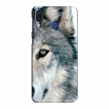 Чехлы с картинками животных Samsung Galaxy M20 Волк - купить на Floy.com.ua