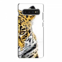 Чехлы с картинками животных Samsung S10 Леопард - купить на Floy.com.ua