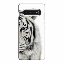 Чехлы с картинками животных Samsung S10 Белый Тигр - купить на Floy.com.ua