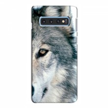Чехлы с картинками животных Samsung S10e Волк - купить на Floy.com.ua