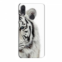 Чехлы с картинками животных Samsung Galaxy M01s Белый Тигр - купить на Floy.com.ua