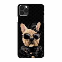 Чехлы с крутыми принтами для iPhone 13 Pro - (PREMIUMPrint) Стильная собака - купить на Floy.com.ua