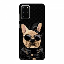 Чехлы с крутыми принтами для Samsung Galaxy S20 Plus - (PREMIUMPrint) Стильная собака - купить на Floy.com.ua