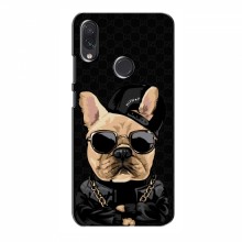 Чехлы с крутыми принтами для Samsung Galaxy M01s - (PREMIUMPrint) Стильная собака - купить на Floy.com.ua
