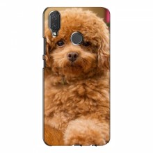 Чехлы с собаками для Huawei P Smart Plus (VPrint) кудрявый Щенок Бишон - купить на Floy.com.ua