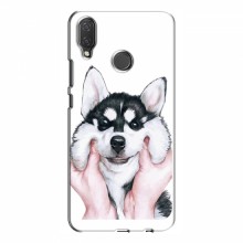 Чехлы с собаками для Huawei P Smart Plus (VPrint) Довольный Хаски - купить на Floy.com.ua