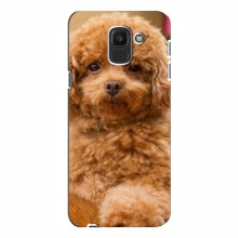 Чехлы с собаками для Samsung J6 2018 (VPrint) кудрявый Щенок Бишон - купить на Floy.com.ua