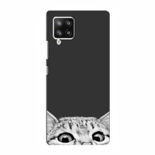Чехол на Samsung Galaxy A42 (5G) с Котами (VPrint) Выглядывает кот снизу - купить на Floy.com.ua
