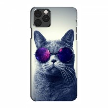 Чехол с принтом для iPhone 12 Pro - (на черном) (AlphaPrint) Кот в очках - купить на Floy.com.ua