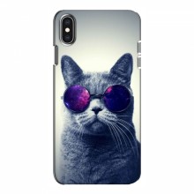Чехол с принтом для iPhone Xs - (на черном) (AlphaPrint) Кот в очках - купить на Floy.com.ua