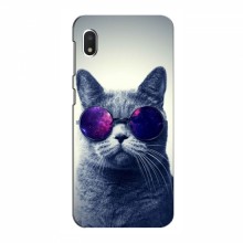 Чехол с принтом для Samsung Galaxy A10e - (на черном) (AlphaPrint) Кот в очках - купить на Floy.com.ua