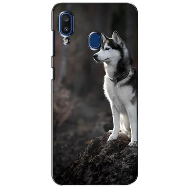 Чехол с принтом «Верный пес» для Samsung Galaxy a20 2019 (A205F) Чехол с принтом «Верный пес» для Samsung Galaxy a20 2019 (A205F)