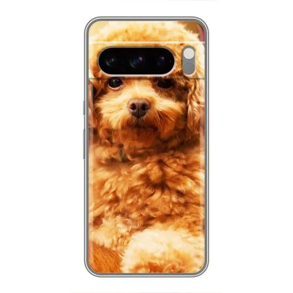 Чехол с принтом «Щенок Бишон» для Google Pixel 8 Pro