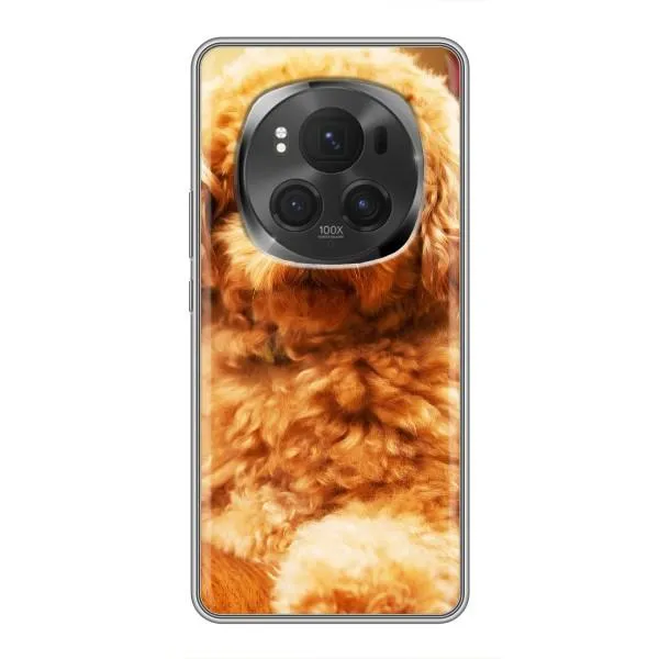 Чехол с принтом «Щенок Бишон» для Huawei Honor Magic 6 Pro
