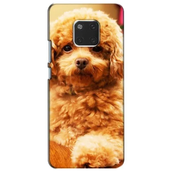 Чехол с принтом «Щенок Бишон» для Huawei Mate 20 (HMA-L09, HMA-L29)