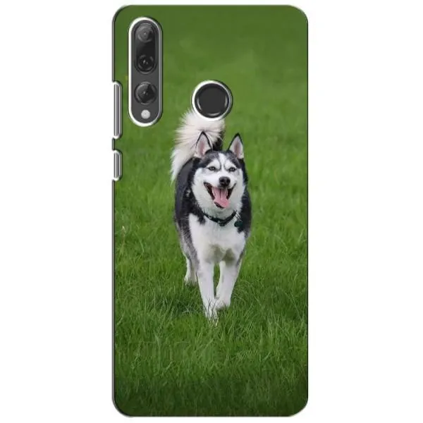 Чехол с принтом «Радостный Хаски» для Huawei P Smart Plus 2019