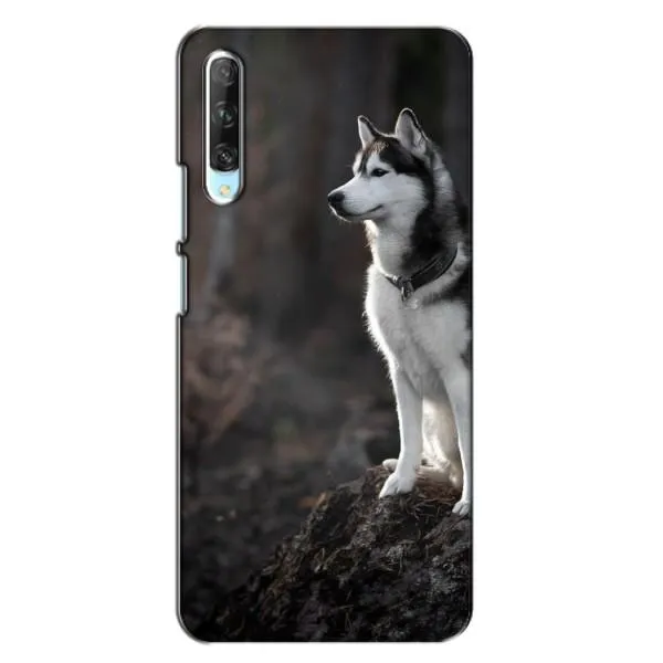 Чехол с принтом «Верный пес» для Huawei P Smart Pro