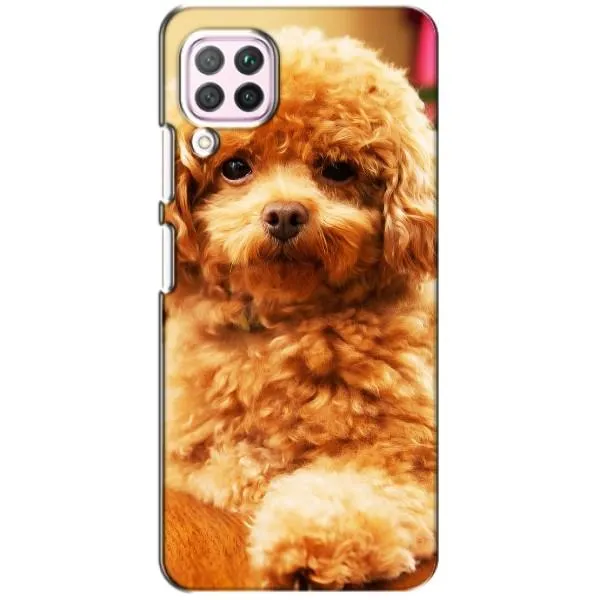 Чехол с принтом «Щенок Бишон» для Huawei P40 Lite