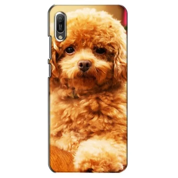 Чехол с принтом «Щенок Бишон» для Huawei Y6 2019