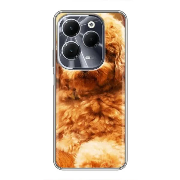 Чехол с принтом «Щенок Бишон» для Infinix Hot 40