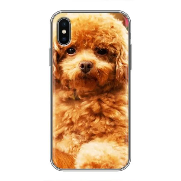 Чохол з принтом «Цуценя Бішон» для iPhone X Чохол з принтом «Цуценя Бішон» для iPhone X